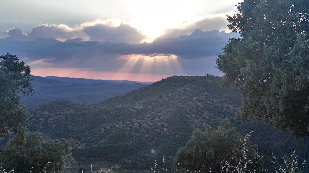 Casa Rural El Trillo Konuk evi El Alcornocal Dış mekan fotoğraf